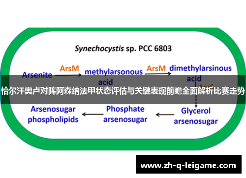 恰尔汗奥卢对阵阿森纳法甲状态评估与关键表现前瞻全面解析比赛走势