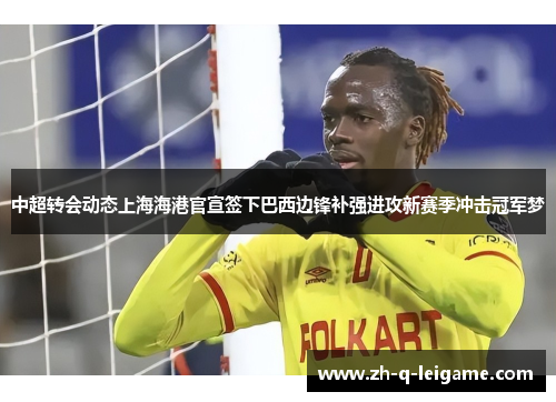 中超转会动态上海海港官宣签下巴西边锋补强进攻新赛季冲击冠军梦 中超转会动态上海海港官宣签下巴西边锋补强进攻新赛季冲击冠军梦