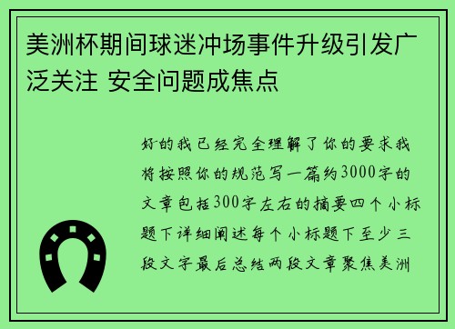 美洲杯期间球迷冲场事件升级引发广泛关注 安全问题成焦点