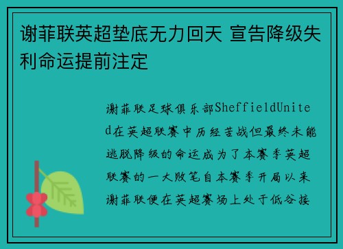 谢菲联英超垫底无力回天 宣告降级失利命运提前注定 谢菲联英超垫底无力回天 宣告降级失利命运提前注定